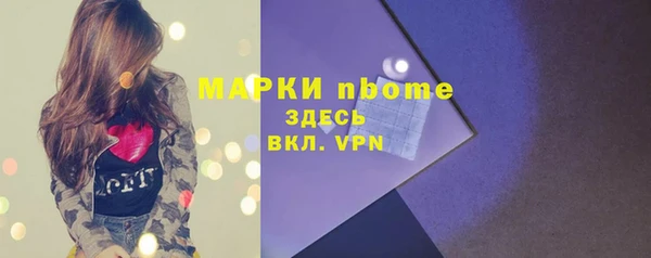 гашик Горнозаводск