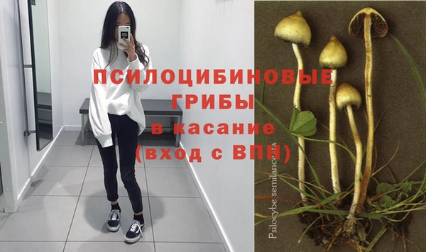 гашик Горнозаводск