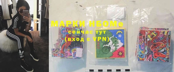 гашик Горнозаводск